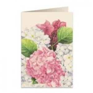 Tassotti Karnet B6 + koperta 5548 Różowa hortensja