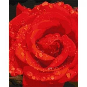 Ideyka Malowanie po numerach. Róża w diamentach 40 x 50 cm