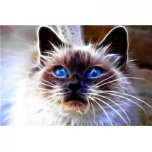 Diamentowa mozaika kot magic niebieskie oczy NO-1007109