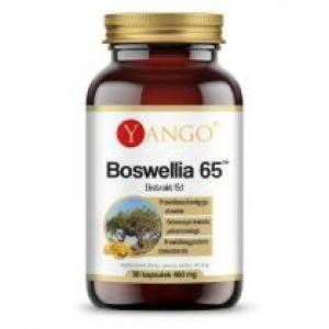 Yango Boswellia 65™ (indyjski kadzidłowiec) - suplement diety 60 tab.