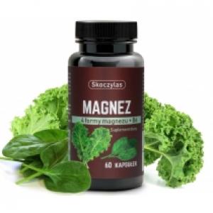 Skoczylas Magnez 4 formy - szpinak, jarmuż Suplement diety 60 kaps.