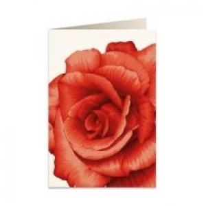 Tassotti Karnet B6 + koperta 5676 Czerwona róża