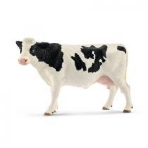 Krowa rasy Holstein 13797