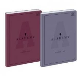 Interdruk Brulion A4 Academy kratka 96 kartek 5 szt.