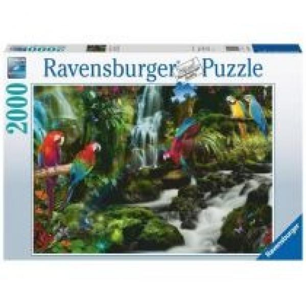 Puzzle 2000 el. Papugi w dżungli Ravensburger