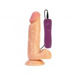 Leo Motor (dildo)