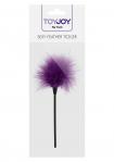 Sexy Feather Tickler Purple