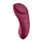Sexy Secret Panty Vibrator