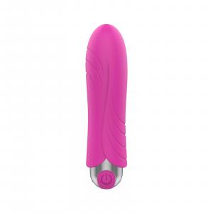 Exclusive Bullet USB 10 functions Pink