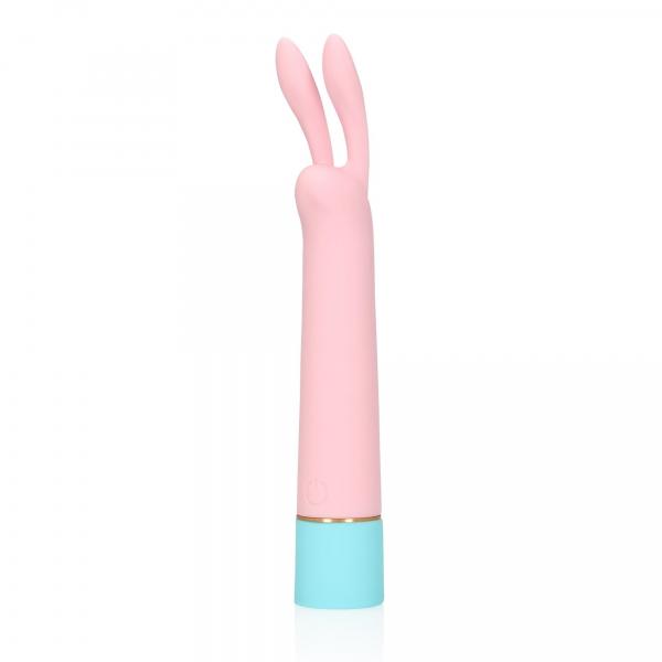 Mini Rabbit Vibrator with USB Charger