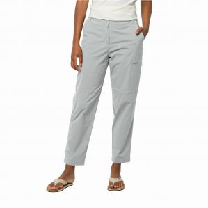 Damskie spodnie outdoor Jack Wolfskin WANDERTHIRST PANTS W cool grey - 42L