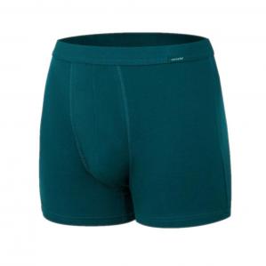Bokserki Authentic 220 petrol