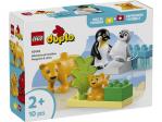 LEGO 10442 Duplo Rodziny dzikich zwierząt: pingwiny i lwy