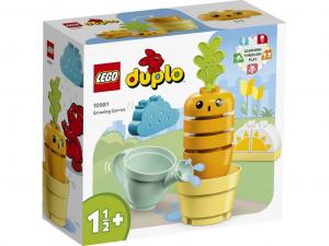 LEGO 10981 DUPLO Rosnąca Marchewka