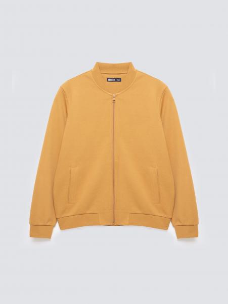 Bluza męska bomber jasnobrązowa Wladorb 803