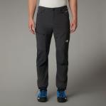 THE NORTH FACE Spodnie męskie M Speedlight Regular Pant asphalt grey-36