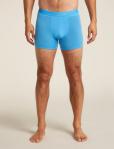ICEBREAKER Bokserski męskie Men Merino 125 Cool-Lite Anatomica Boxers arctic-L