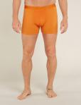 ICEBREAKER Bokserki męskie Men Anatomica Boxers ray-XL