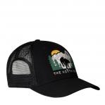 THE NORTH FACE Czapka z daszkiem Embroidered Mudder Trucker tnf black/tnf black/bear graphic
