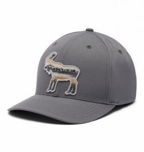 COLUMBIA Czapka z daszkiem Lost Lager 110 Snap Back city grey/scenic moose