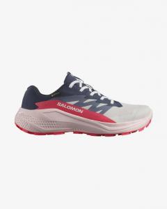 SALOMON Buty damskie Alphaglide GTX W lunroc/blue nights-37 1/3