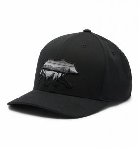 COLUMBIA Czapka z daszkiem Lost Lager 110 Snap Back black/scenic stroll