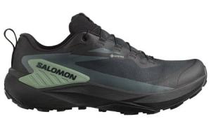 SALOMON Buty biegowe męskie Genesis GTX black/agave green/urban chic-42