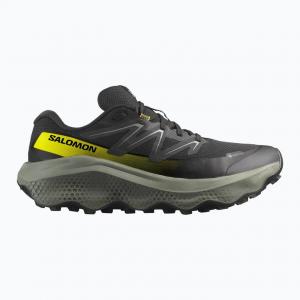 SALOMON Buty biegowe męskie Ultra Flow 2 GTX black/sedona sage/incaberry-41 1/3