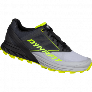 DYNAFIT Buty biegowe męskie ALPINE RUNNING SHOE alloy/black out-44