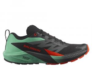 SALOMON Buty biegowe męskie Sense Ride 5 black/bay/cherry tomato-46