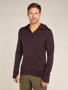 ICEBREAKER Bluza męska Men Merino 260 Quantum IV LS Zip Hoodie bittersweet-M