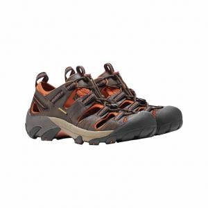 KEEN Buty trekkingowe męskie Arroyo II black olive/bombay brown-42