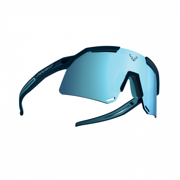 DYNAFIT Okulary Ultra Evo blueberry/storm blue