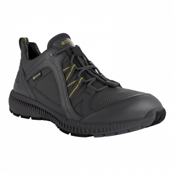 ECCO Buty męskie Terracruise II M GTX magnet/magnet-43