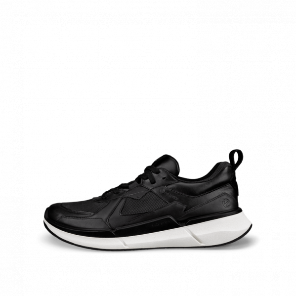 ECCO Buty męskie Biom 2.2 GTX M black/black/black-43
