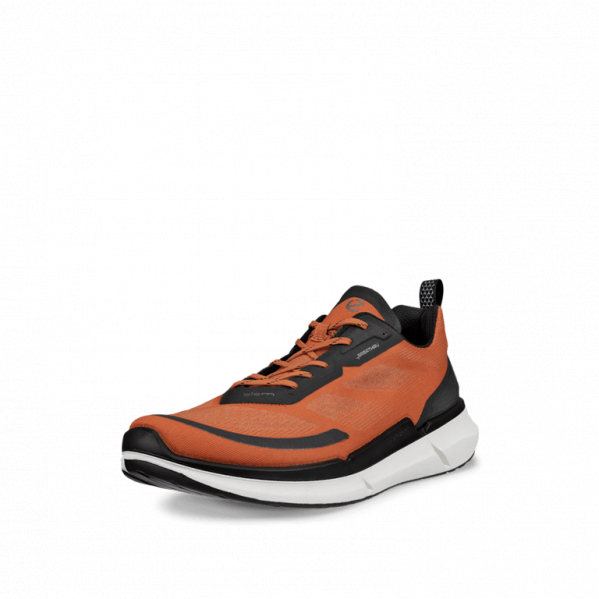 ECCO Buty męskie Biom 2.2 M terracotta/black-43