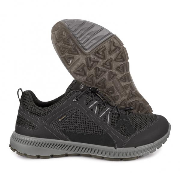 ECCO Buty męskie Terracruise II M GTX black-42