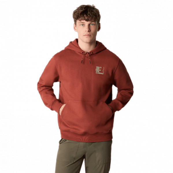 THE NORTH FACE Bluza męska Men’s Outdoor Graphic Hoodie brandy brown-XL