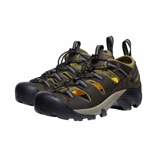 KEEN Buty trekkingowe męskie Arroyo II canteen/black-44