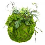 SELSEY Sztuczna roślina Reinkles Kokedama mech 20 cm