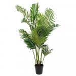 SELSEY Sztuczny kwiat Derbidly Palma areka 175 cm