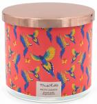 SELSEY Świeca zapachowa Frida Kahlo Exotic Jasmine 400 g