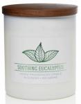 SELSEY Świeca sojowa zapachowa Colonial Candle Soothing Eucalyptus 453 g