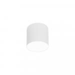 SELSEY Spot sufitowy Point Plexi 13 cm biały 6525