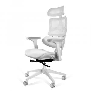 SELSEY Fotel ergonomiczny Ergotech