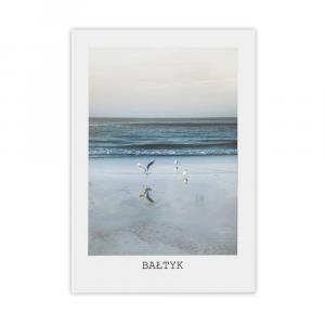 SELSEY Plakat Iggly 40x50 cm bez ramy