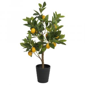 SELSEY Sztuczny kwiat Ilmur Drzewko cytrynowe 70 cm