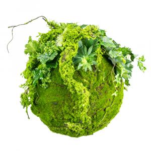 SELSEY Sztuczna roślina Reinkles Kokedama mech 35 cm