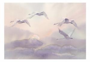 SELSEY Fototapeta Lecące łabędzie 400x280 cm