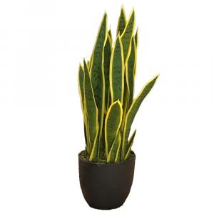 SELSEY Sztuczny kwiat Ilitten Sansevieria